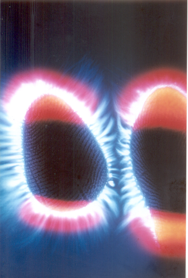 Fotografia bioeletrográfica nº 6 - Indicador e Médio Direito